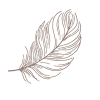Sans titre(22)
